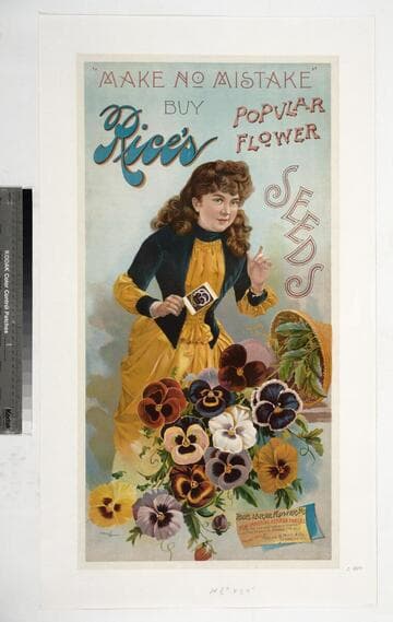 "Make no mistake" buy Rice's popular flower seeds