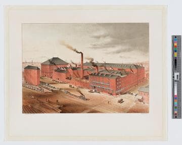 Manufacturing chemists : Powers & Weightman