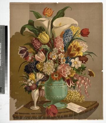 Bulb chromo for 1872