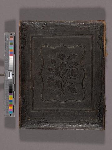 Three unidentified children in group portrait [Rix or Hamlin family?]