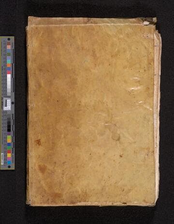 Trial of Francisco de León Carvajal for soliciting