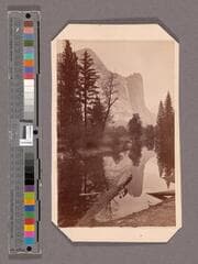 Go to image 1.