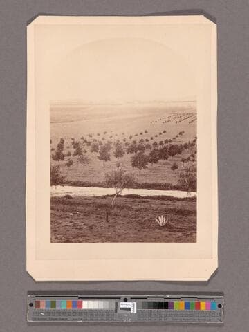 View from Lake Vineyard House, Pasadena