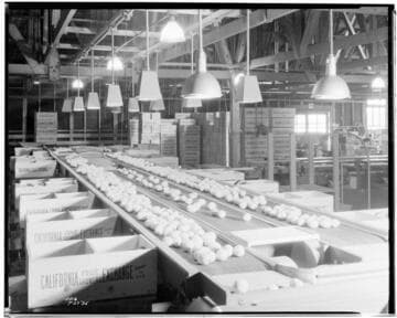 L1.8 - Lighting, Packing Plants