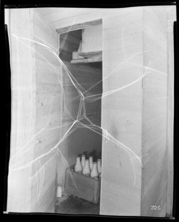 D1 - Dairy - Refrigeration