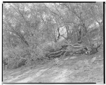 A1.4 - Natural Disasters