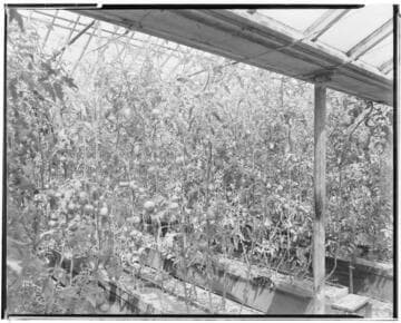 N1 - Nurseries & Soil Heating - Nursery at Montebello