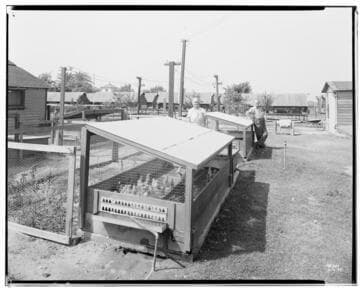 P2 - Poultry - Poultry Ranch