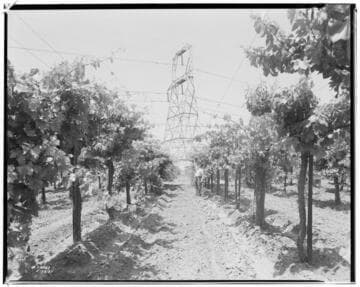 Vincent Transmission Line