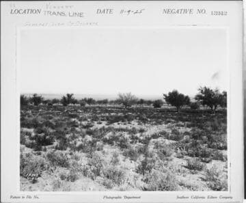 Vincent Transmission line