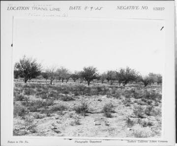 Vincent Transmission line