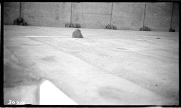 Big Creek Powerhouse #4