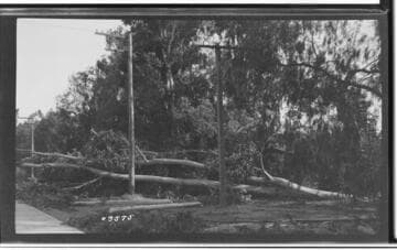 A1.4 - Natural Disasters