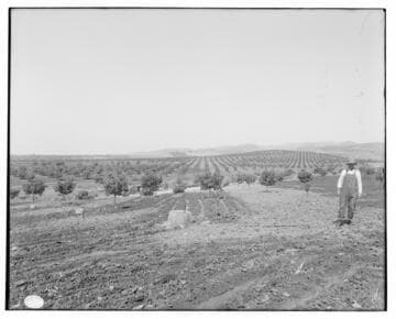 Method of Irrigation