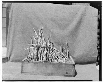 I1 - Insectary - Santa Paula