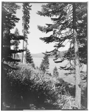 Big Creek Huntington Lake Dams