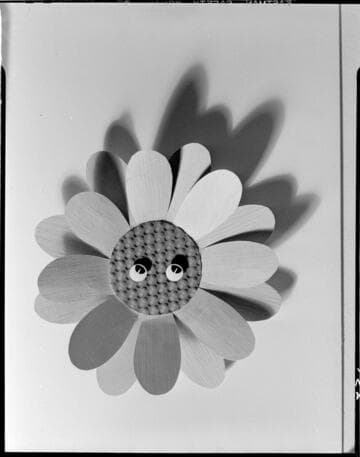 Cut outs for evaporative cooler ads