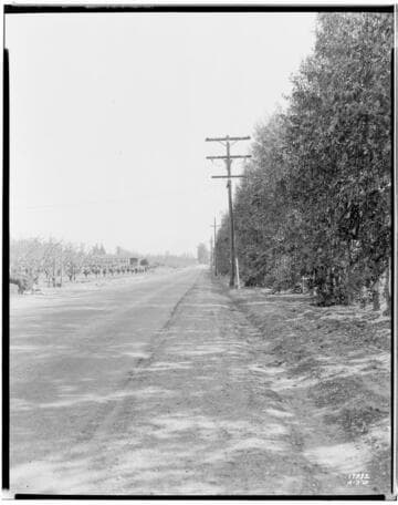 A1.2 - Accidents - Scene of accident