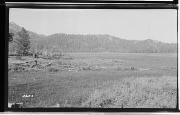 Large open area surrounded by forest