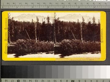 188. Castle Peak, a Western Summit, 10,000 feet altitude