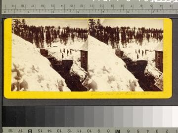 [239. Winter View at Cisco.]