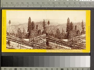 51. Bear River Valley, near Gold Run