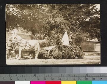 Rose Carnival Parade float