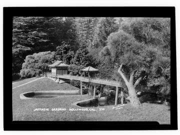 Japanese Gardens, Hollywood, Cal