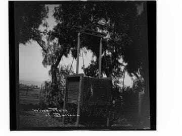 Wine Press at Ballona