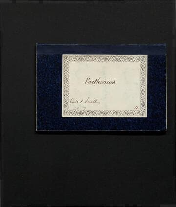 Parthenius. An opera. : By Paul Rolli, F.R.S. As perform'd at the Theatre Royal in the Hay-Market. Composed by Francis Veracini