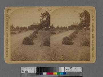 House and garden with fruit trees