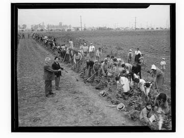 Mexican farm workers, Santa Monica