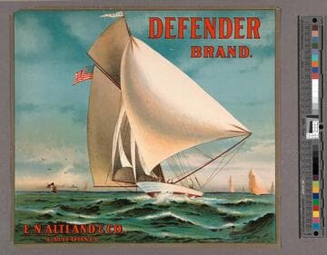Defender brand