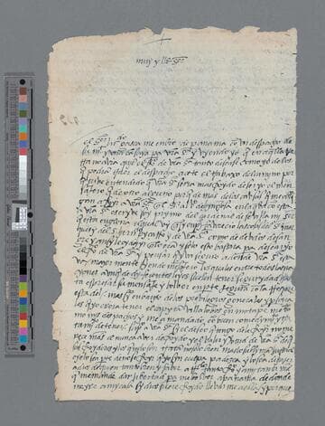 Pedro Hernandez Paniagua de Loaysa letter to Gonzalo Pizarro