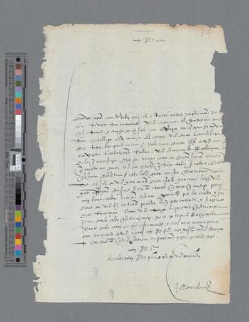 Hernando de Ribera letter to Gonzalo Pizarro