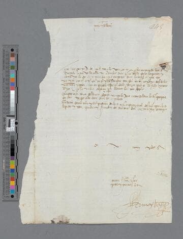 Tomás Vazquez letter to Gonzalo Pizarro