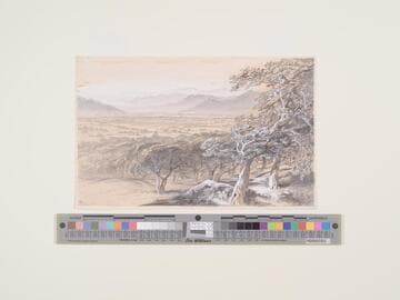 Lone Valley, Corsica