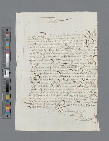Gonzalo Pizarro letter to Diego Vázquez