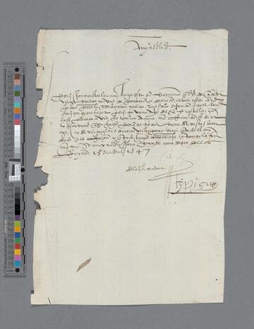 Gonzalo Pizarro letter to Rodrigo de Arévalo