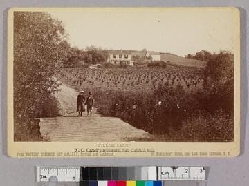 "Willow Dale." N.C. Carter's residence, San Gabriel, Cal