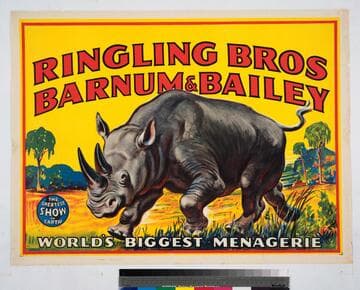Ringling Bros Barnum & Bailey : World's biggest menagerie