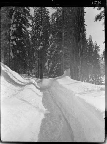 Snow covered road approaching forest
