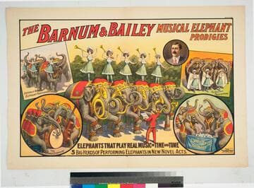 The Barnum & Bailey musical elephant prodigies