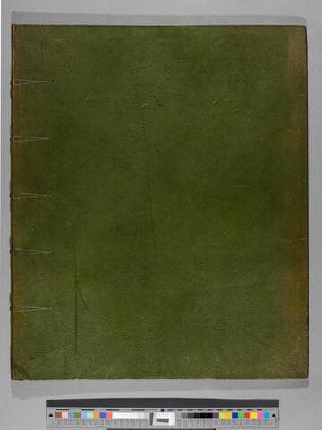 A monograph on the genus Camellia / by Saml. Curtis, F.L.S. The whole from original drawings by Clara Maria Pope