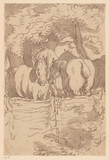 Four Horses in a Paddock