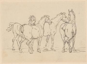 Four Horses
