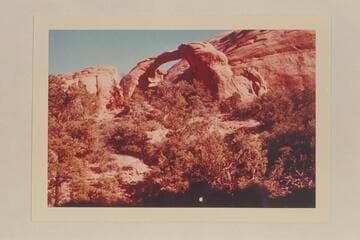 Owl Bridge in branch of Surprise Valley