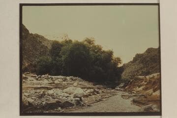 View up Diamond Creek from its mouth