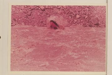 The "Cactus" (?) in Hance Rapid