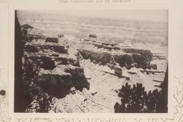 Osiris and Ra from Dragon Head